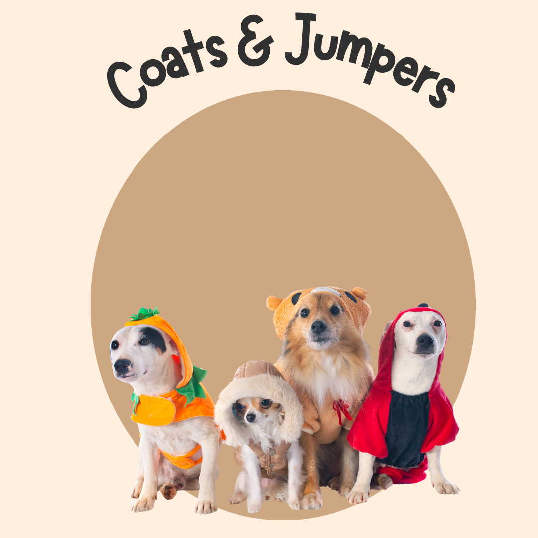 Dog Coats and Jumpers