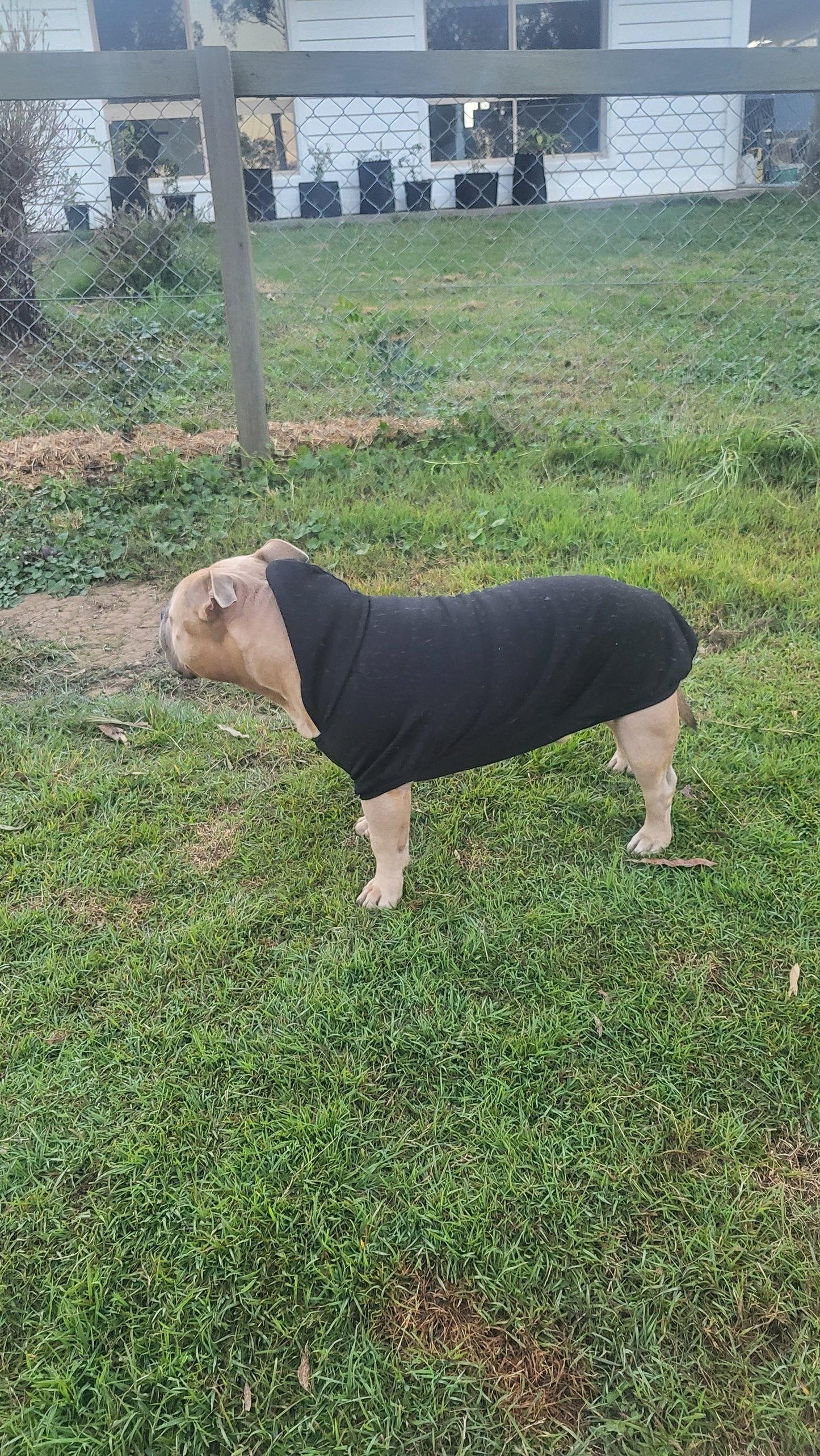 BLACK Dog jumper with Hoody