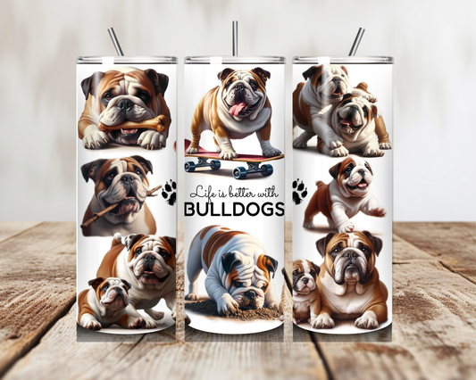 Bulldog Various Images Tumbler 20oz 600ml