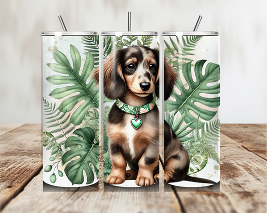 Mini long hair Dachshund Puppy  Tumbler 20oz 600ml