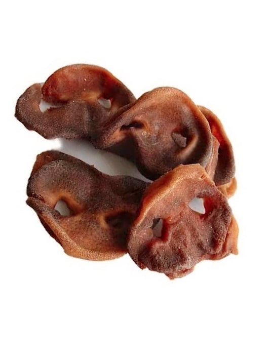 Pork or Pigs Snouts 6 Pieces Australian