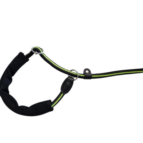 Dog Lead Strong Rock Climbing Material P Shape Green