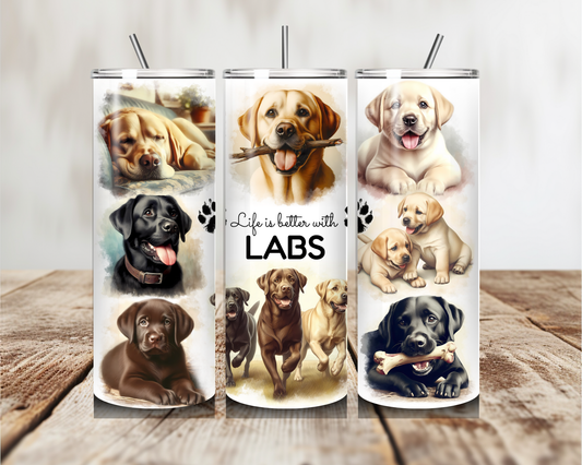 Labrador Dogs various images  Tumbler 20oz 600ml